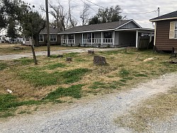 Let over stumps from hurricane cleanup